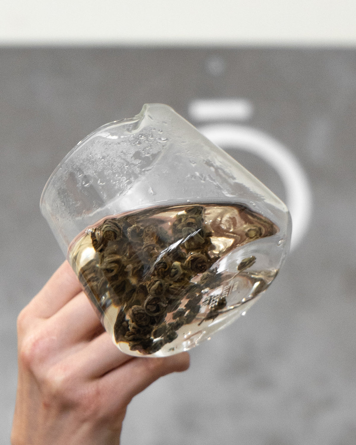 Jasmine Dragon Pearls – Green Tea