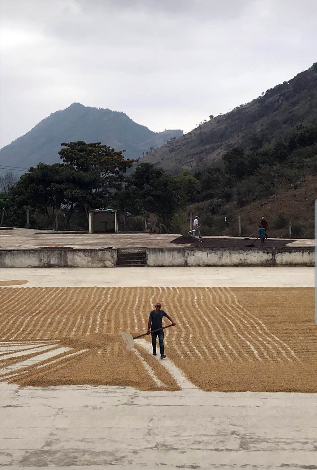 Tzikin - Guatemala