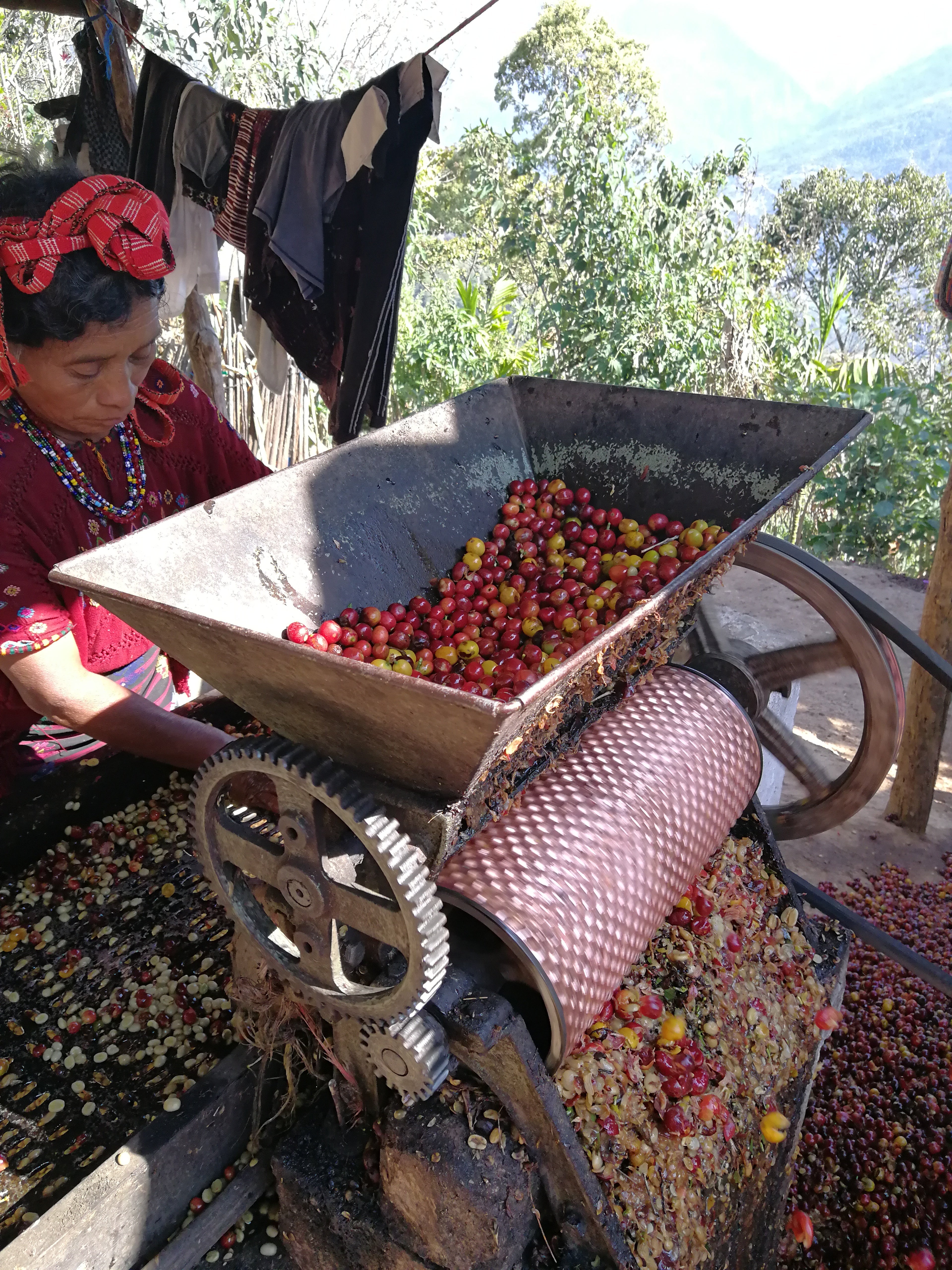 Tzikin - Guatemala