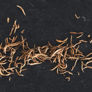 Jin Jun Mei - Black Tea